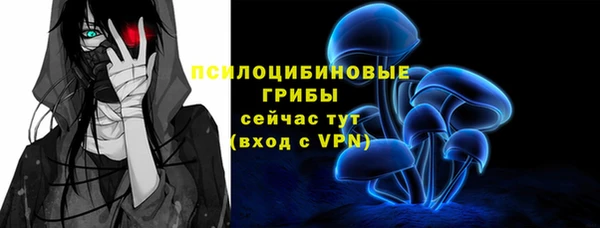 дживик Михайловск