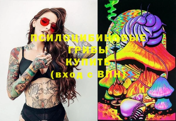 крисы Михайлов