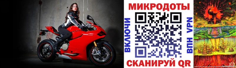 купить наркоту  Алейск  Галлюциногенные грибы Psilocybe 
