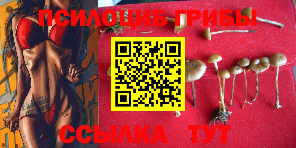 Псилоцибиновые грибы Magic Shrooms Алейск