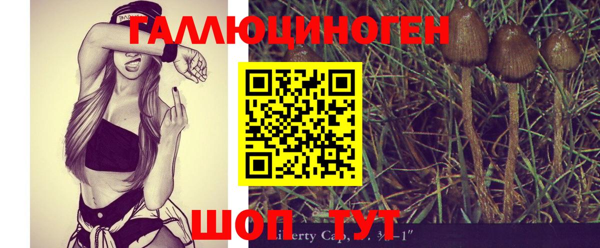 Галлюциногенные грибы Cubensis  Галлюциногенные грибы Psilocybine cubensis  Алейск 