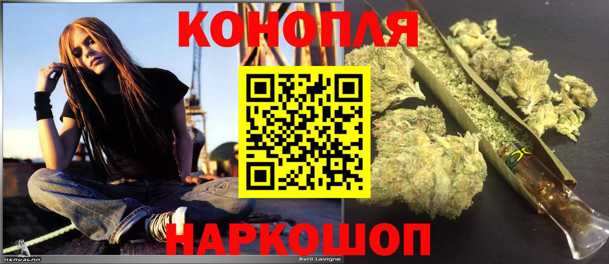 Бошки Шишки планчик Алейск